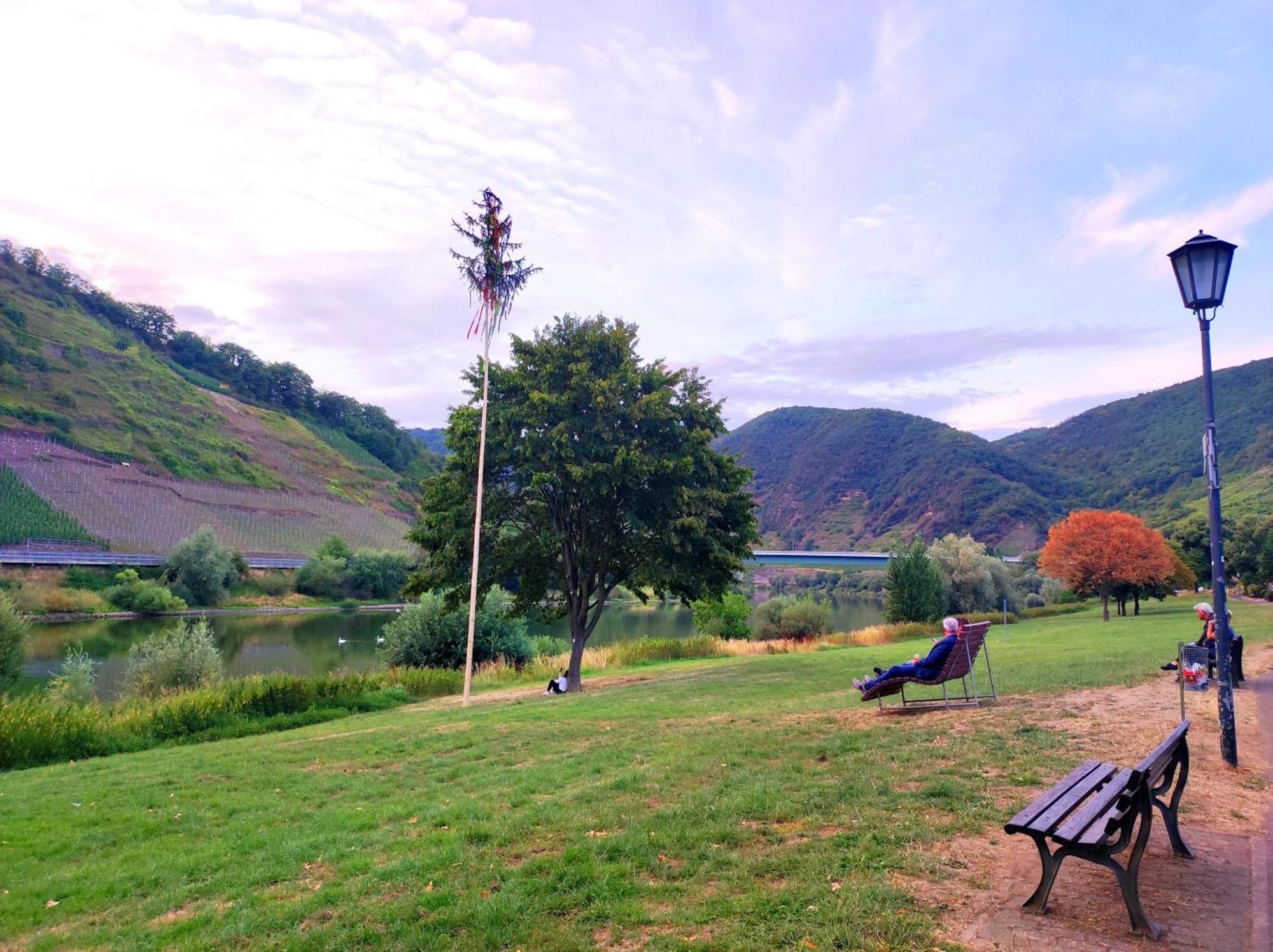 Mosel Boutique Hotel Bruttig-Fankel Buitenkant foto